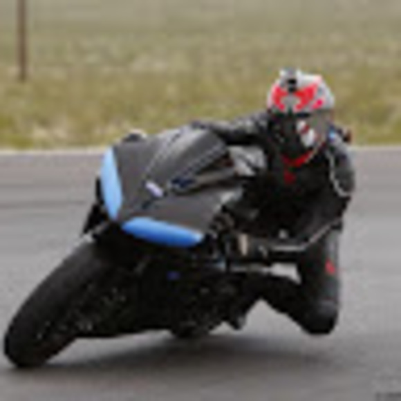 Meet your Posher, Tammy - Picture 1 of 1